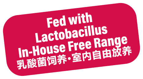 Fed with Lactobacillus