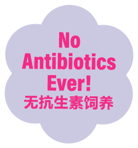 No Antibiotics Ever